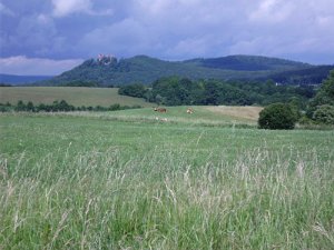 Rhoen-Radmarathon Nichtraucher 1454